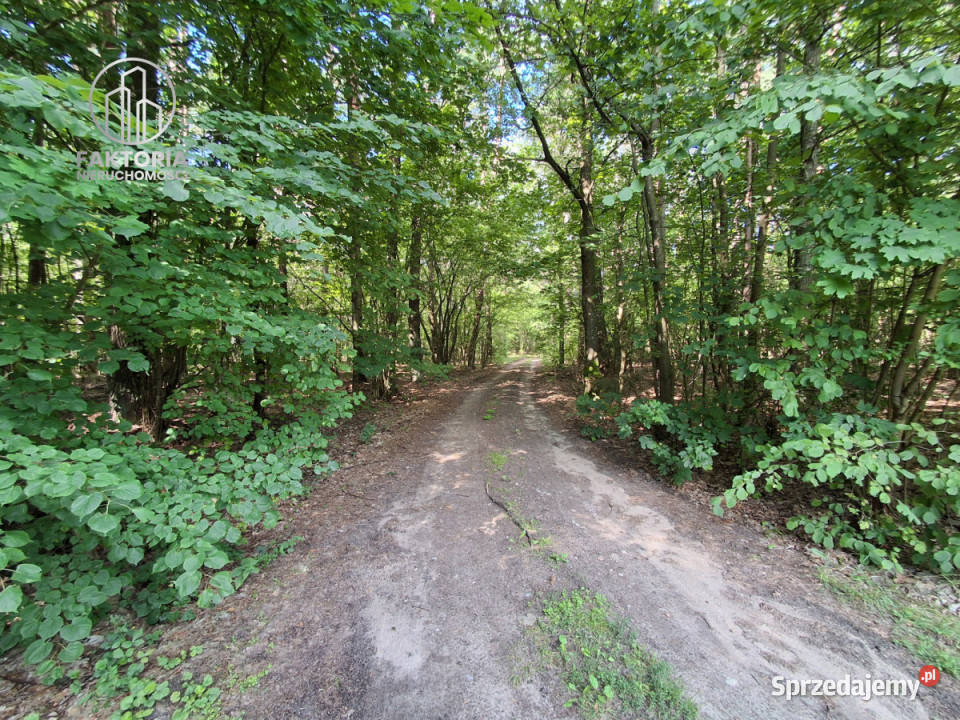 Grunt 23579m2 Gajowniki