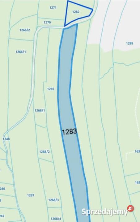 Lipnica Dolna 7 hektarów 33 ary dwie działki małopolskie