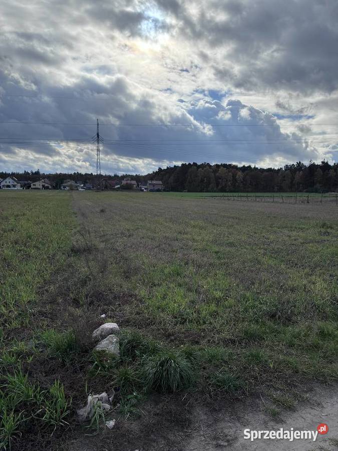 Działka 15 ar z warunkami zabudowy Kazimierz Sprzedaż Kazimierz Biskupi sprzedam