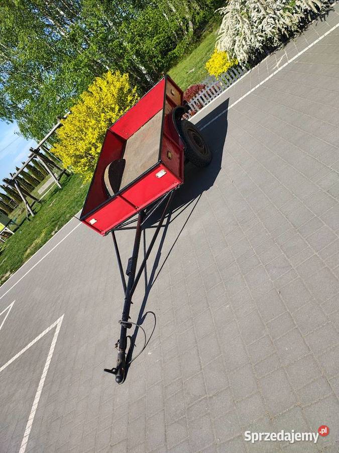 Przyczepka lekka SAM z papierami 400kg Płońsk sprzedam
