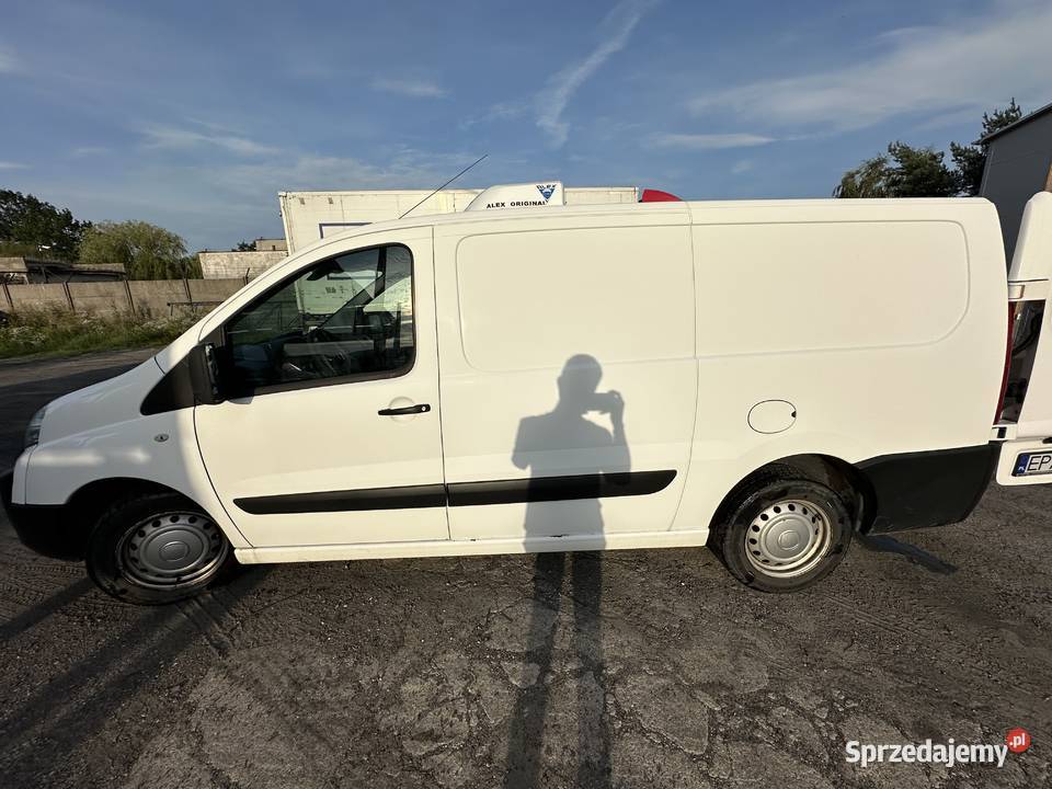 Fiat Scudo Maxi Chłodnia 20 HDI RH02 Sprawny Scudo Pabianice