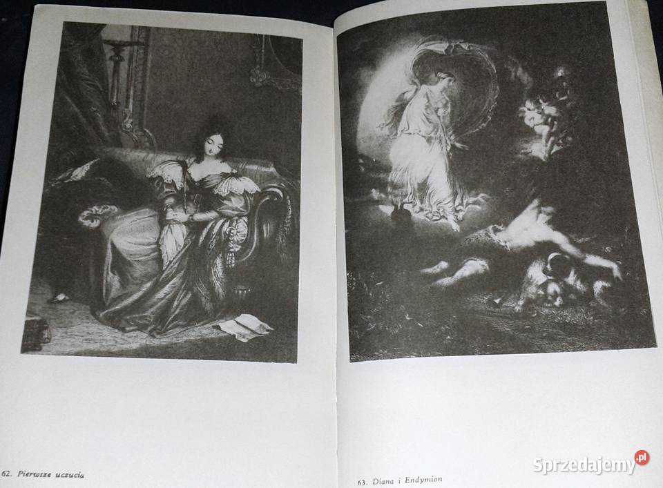 Błękitny kwiat Janina KamionkaStraszakowa Chełm