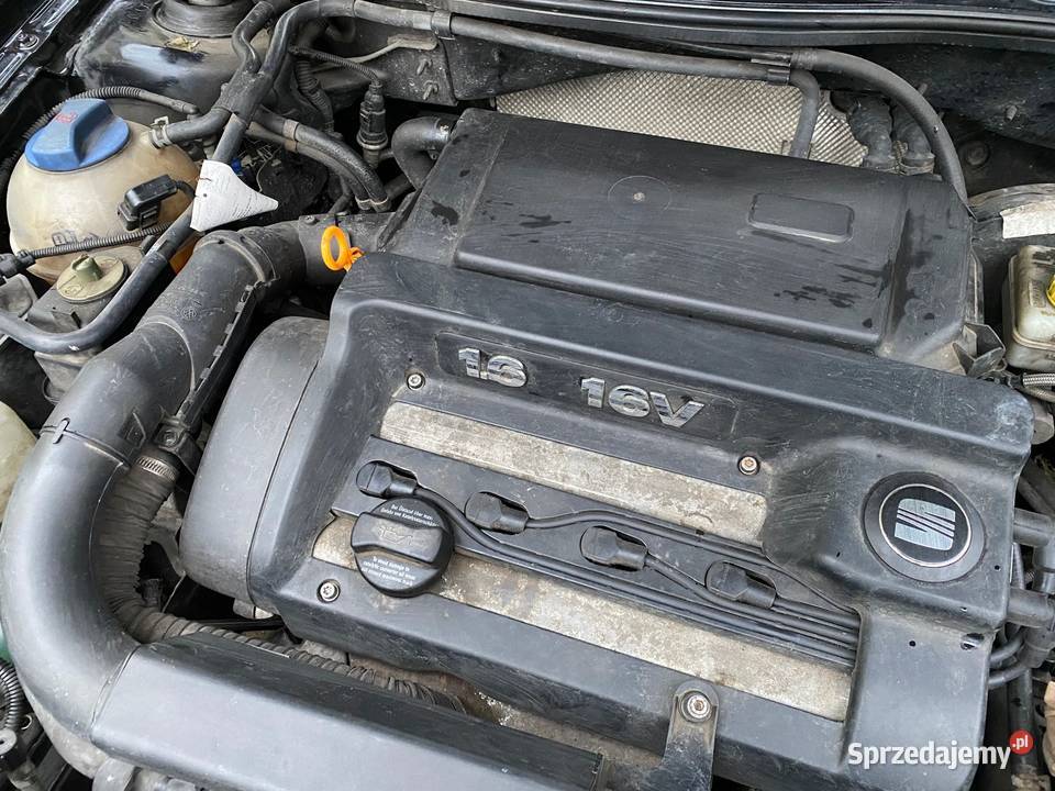 Seat Leon 1 właściciel 8 lat Leon Poraj sprzedam