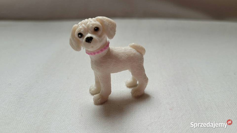 Nietuzinkowe Małe pieski do zabawy Piekary Śląskie