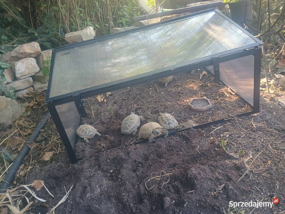 Sprzedam terrarium mazowieckie Potworów