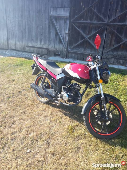 Barton TZR 5080 benzyna Barton Rogatka