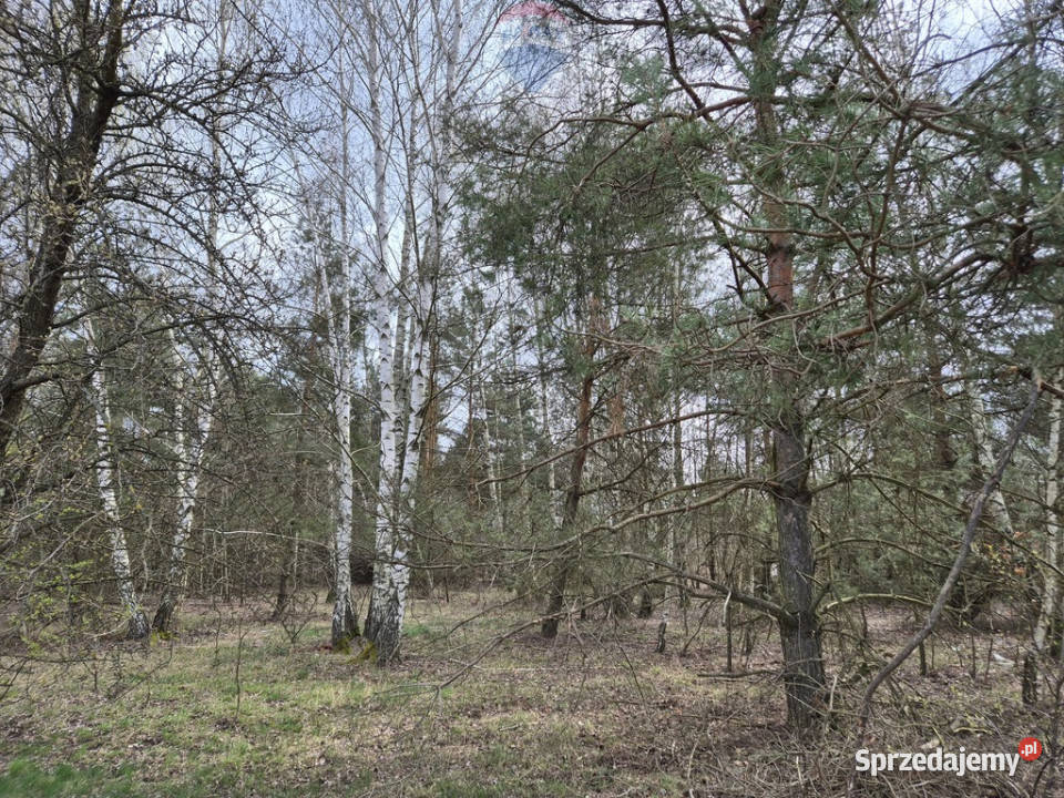 1z3 Działka budowlana Kuklówka Radz 1432 m2 polna Sprzedaż
