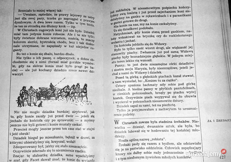 I w sto koni nie dogoni Janina Porazińska Chełm