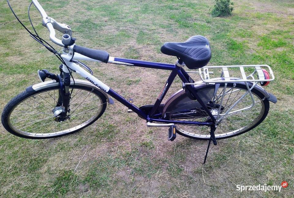 Rower męski Raleigh Priority 28 Alu Nexus 7