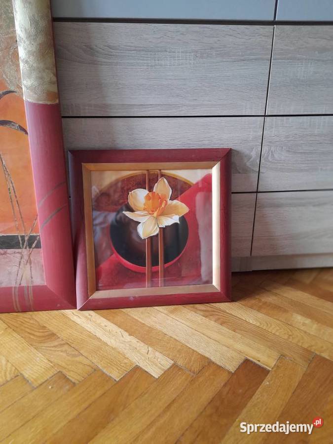 Obrazy reprodukcja Claudi Ancelotti Kraków