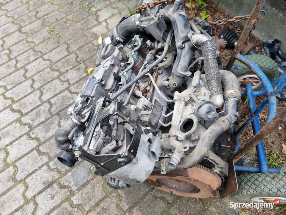 Silnik Ford Fiesta MK7 14 HDI Wtryski Turbo osobowe sprzedam