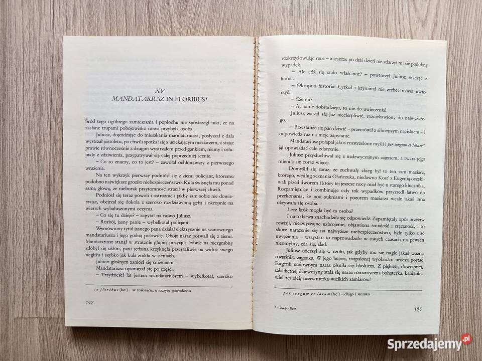 Zaklęty dwór Walery Łoziński ISBN 8609541794595 Kraków sprzedam