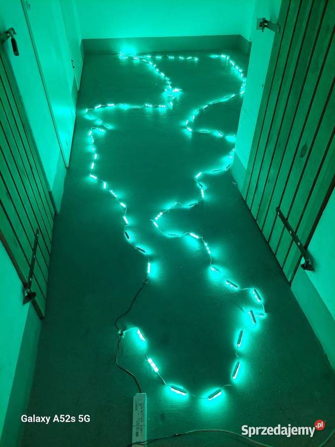 Ledy zielone zewnętrzne 10 metrow Toruń