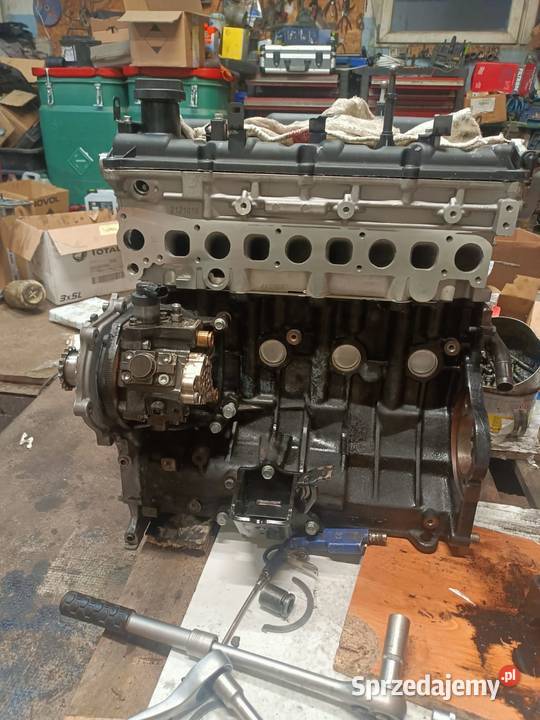 Hyundai h1 Kowalewo Pomorskie