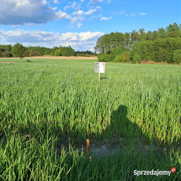 Sprzedam działkę budowlaną wielkopolskie