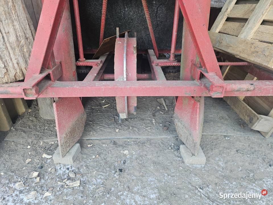 Sadzarka do Ziemniaków Kiełkowanych