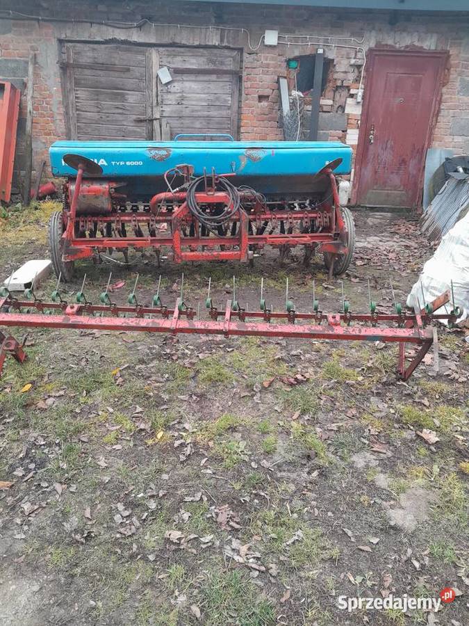 Siewnik zbożowy Antoniówka sprzedam
