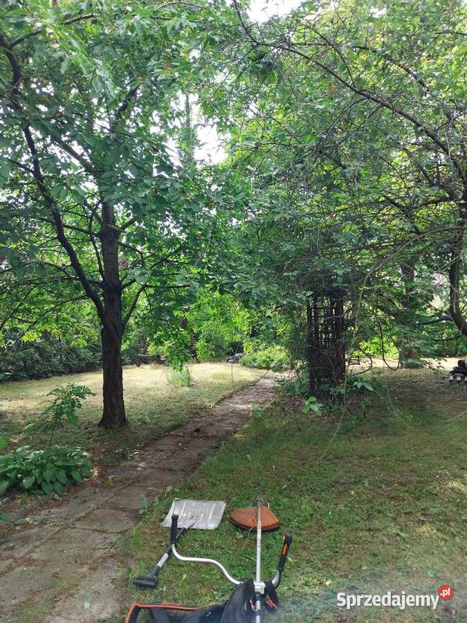 Kompleksowe usługi ogrodnicze prace porządkowe Legionowo