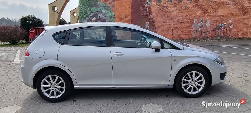 Seat Leon 16 TDI 105 zadbany bogate wyposażenie manualna wielkopolskie Pyzdry