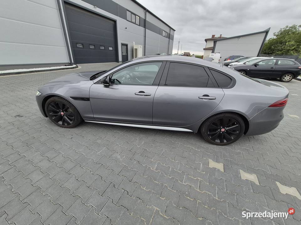 Syndyk sprzeda XF 20D I4 204 AWD Auto RDynamic mazowieckie Warszawa