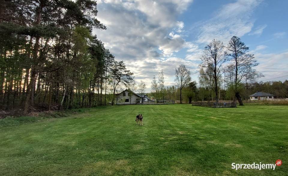 Sprzedam działkę budowlaną z warunkami zabudowy Gostynin