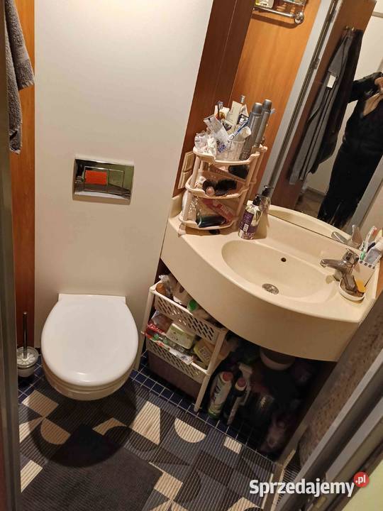 Domek letniskowy Borówno ośrodek drewniane Sprzedaż Skarszewy