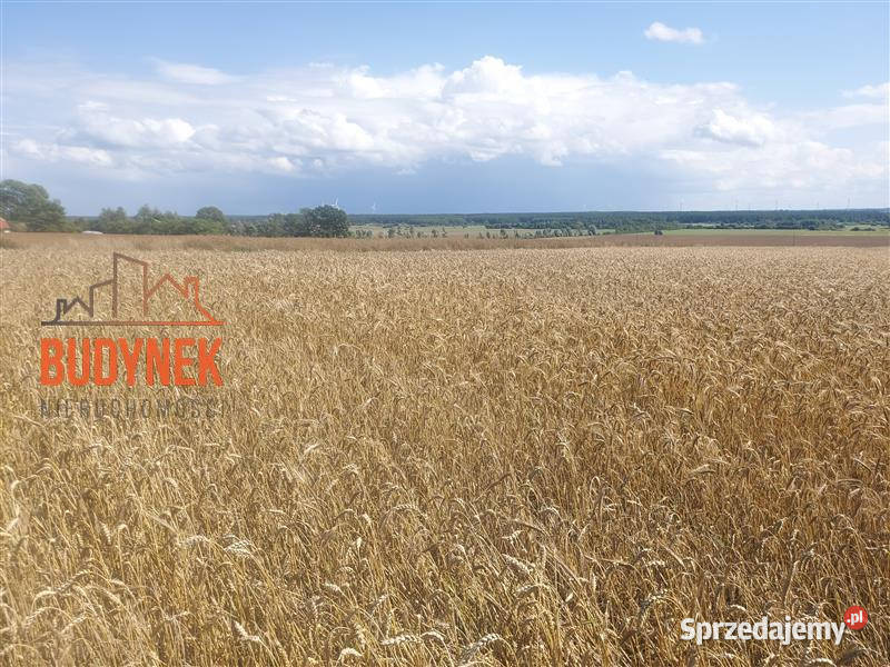 Działka rolna Kopnica zachodniopomorskie sprzedam