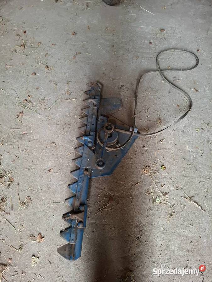 Bizon ZO56 Turbo stół do rzepaku Bieniew