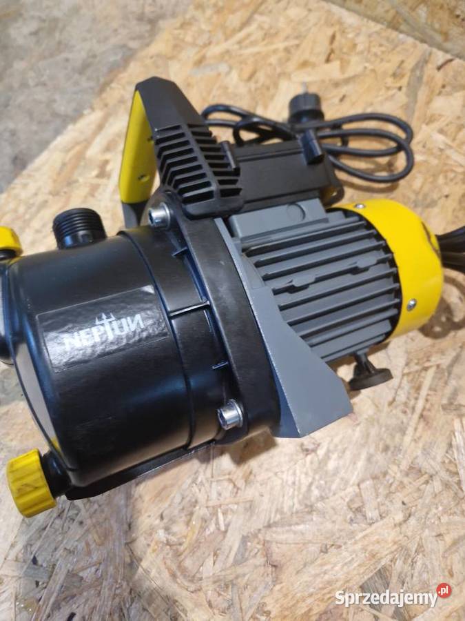 Pompa ogrodowa einhell model gc gp 6538 do wody wielkopolskie