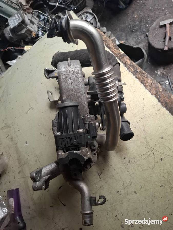 FORD 15 TDCI chłodnica spalin EGR 50563908 świętokrzyskie Kielce sprzedam