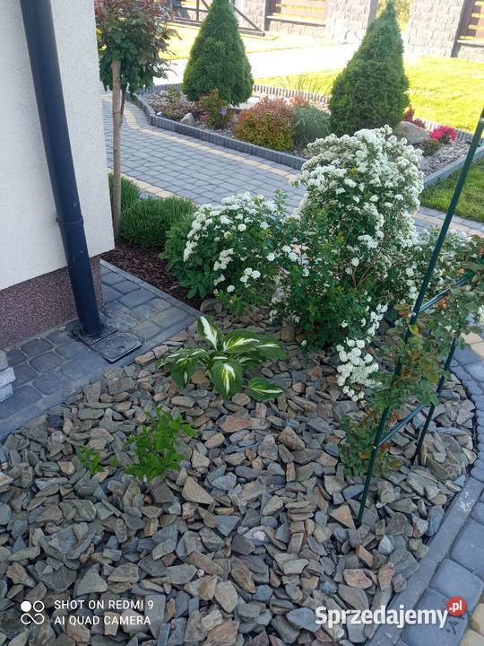 kora kamienna do ogrodu z łupka szarogłazowego Księżyce