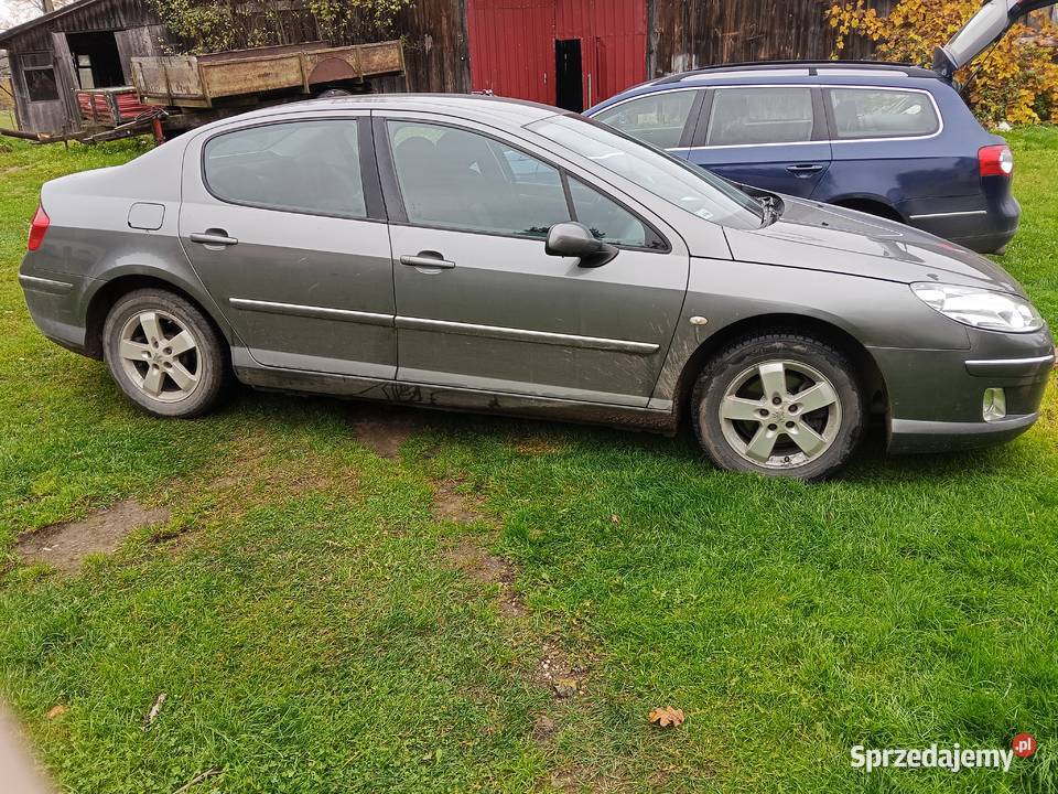 Peugeot 407