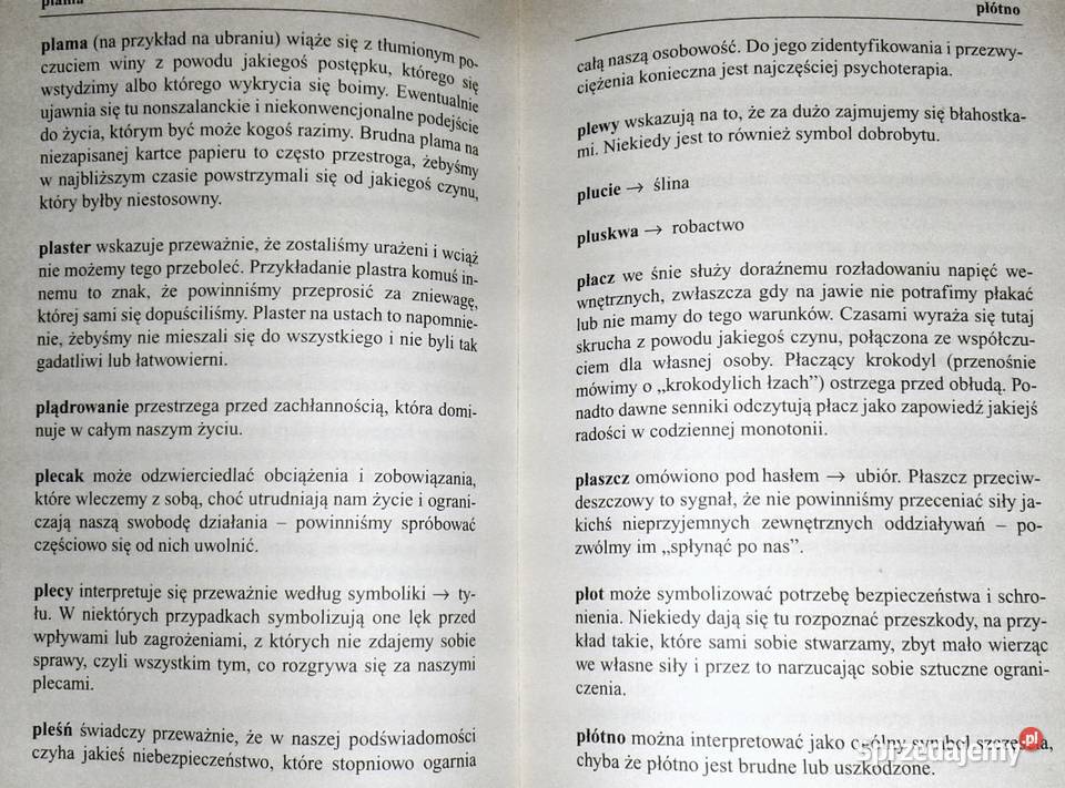 Wielki Sennik Andreas Baumgarten Rok wydania 2005 Pozostałe Chełm sprzedam