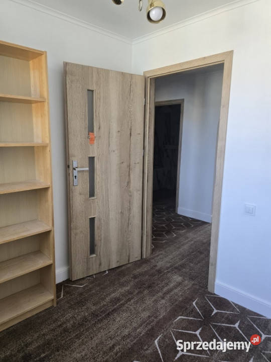 Bezpośrednio Zegrze Liczba pokoi 3