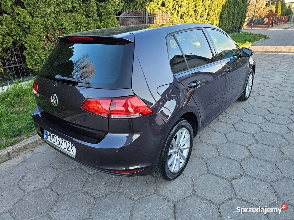 VW Golf VII Lounge 14 TSI 125 2015 r Zarej Stan Ostrów Wielkopolski
