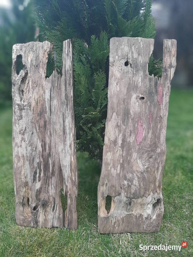 Deska ozdobna driftwood lubuskie Trzciel sprzedam