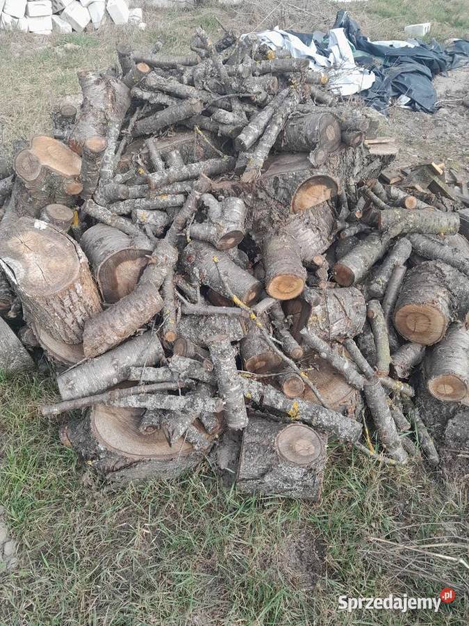 Drewno do wędzenia Komarówka Podlaska sprzedam