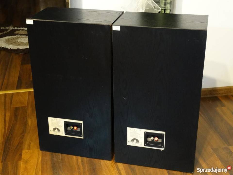Kolumny imprezowe Omni Audio 2 x 200 wat WYSYŁKA Słuchawki i głośniki