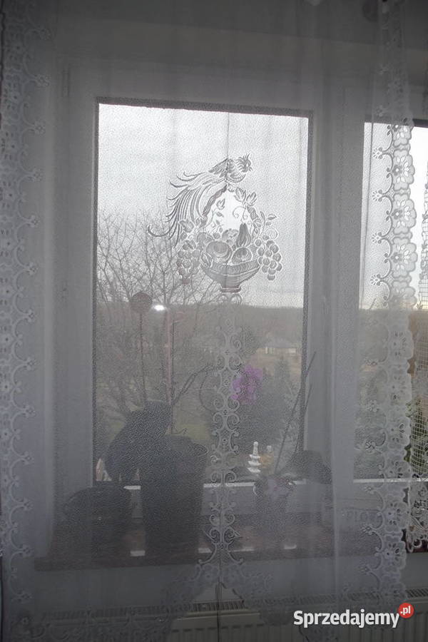 Mała firanka żakard papuga szer123 wys162 biały