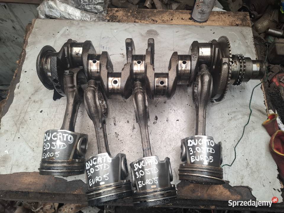 FIAT DUCATO IVECO DAILY 30 JTD HPI wal korbowy dostawcze Kielce sprzedam