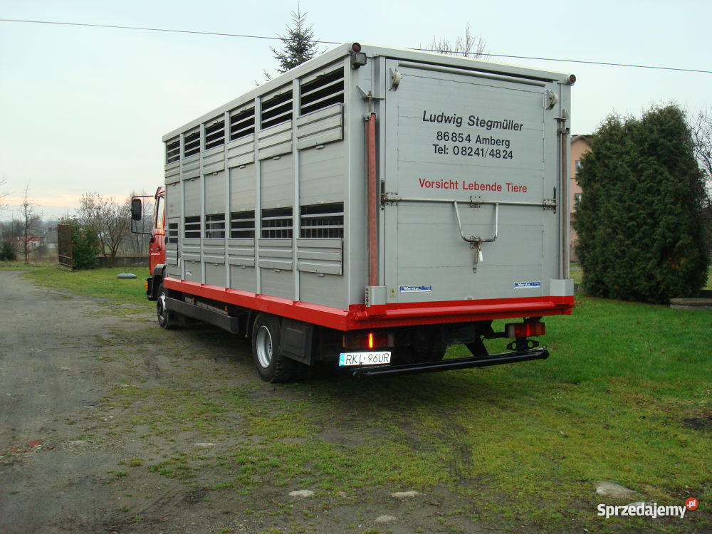 MAN 12224 DO PRZEWOZU ŻYWCA ZWIERZĄT VIEHTRANSPO podkarpackie Kolbuszowa