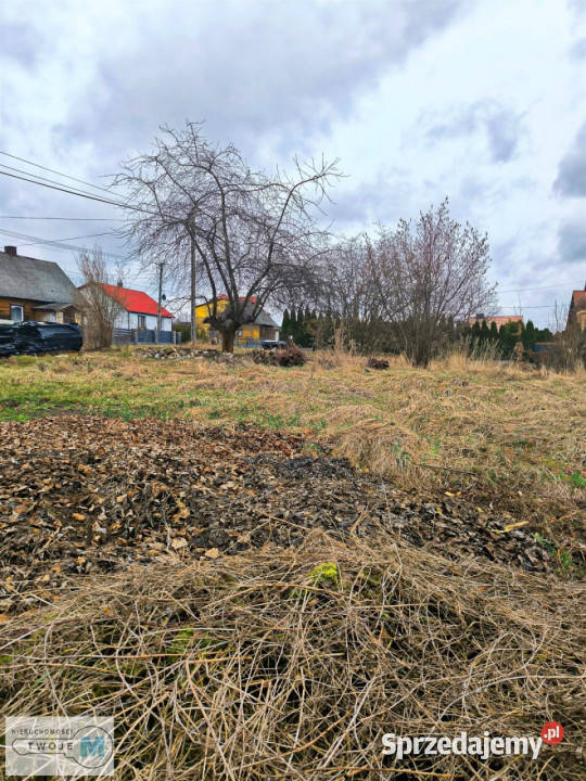 sprzedaży działki Mniów 5000 metrów Sprzedaż