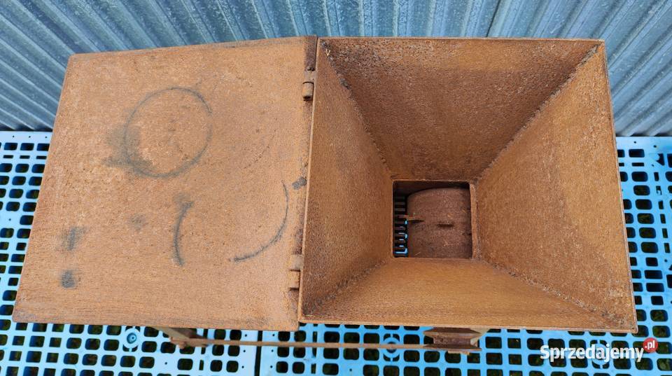 Kościarka wilk do kości