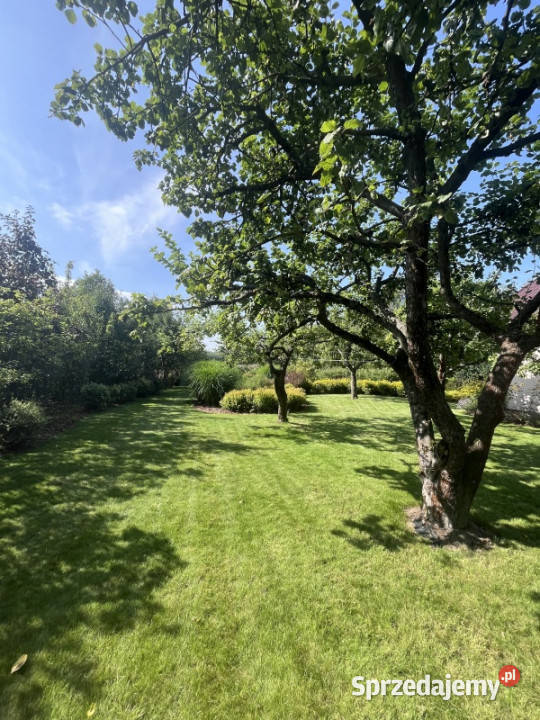 Sprzedam dom całoroczny siedlisko na wsi Sprzedaż