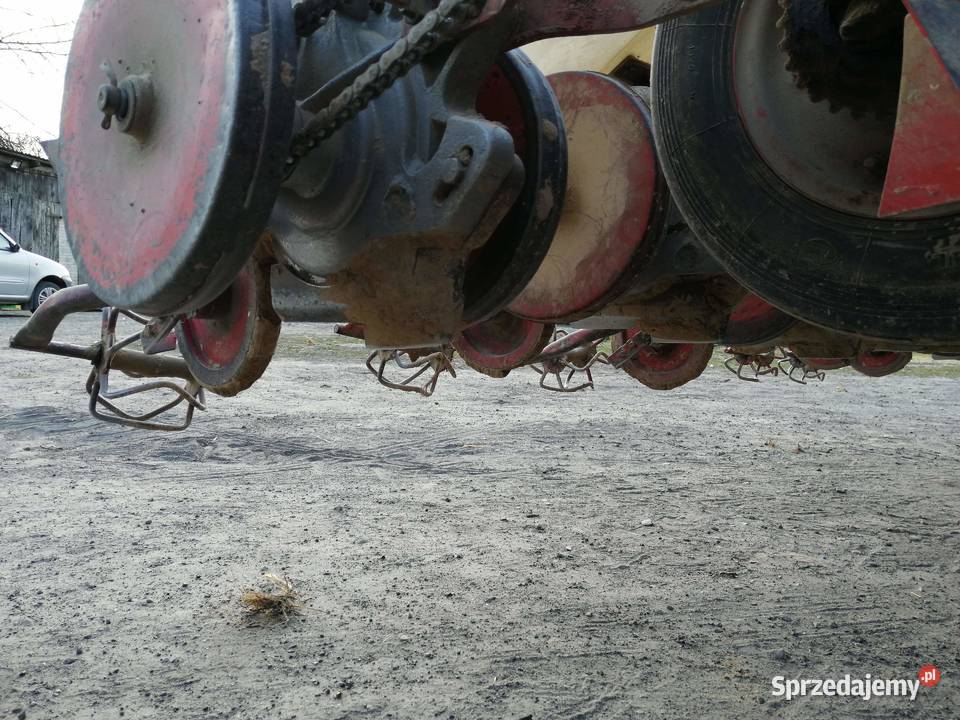 Siewnik do buraków GAMA Kajetanówka