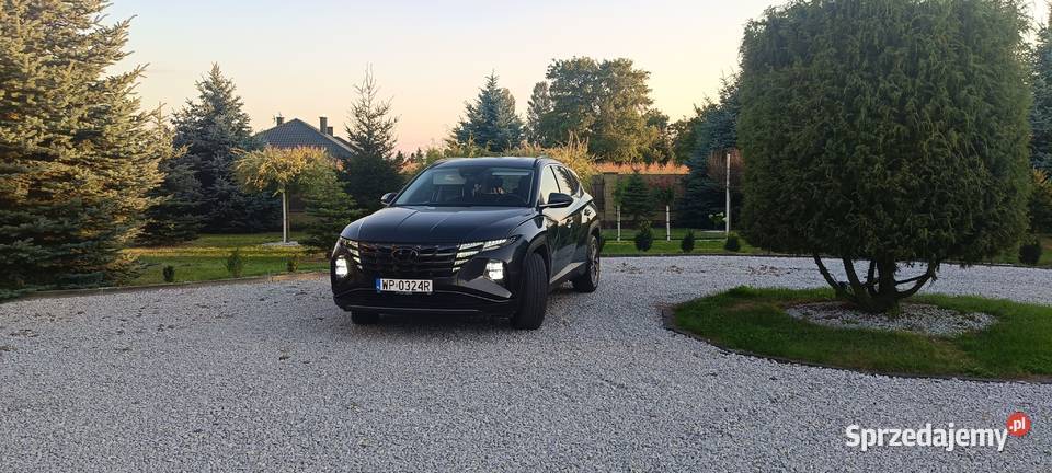 Hyundai Tucson 16 TGDi Smart 2WD wielofunkcyjna kierownica Samochody osobowe Teresin