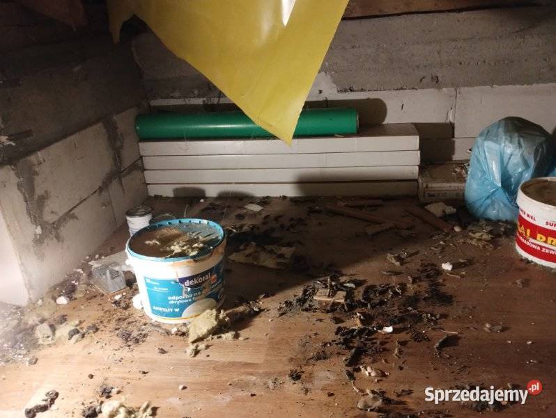 Usługi srzątania poddasza strychu z odchodów