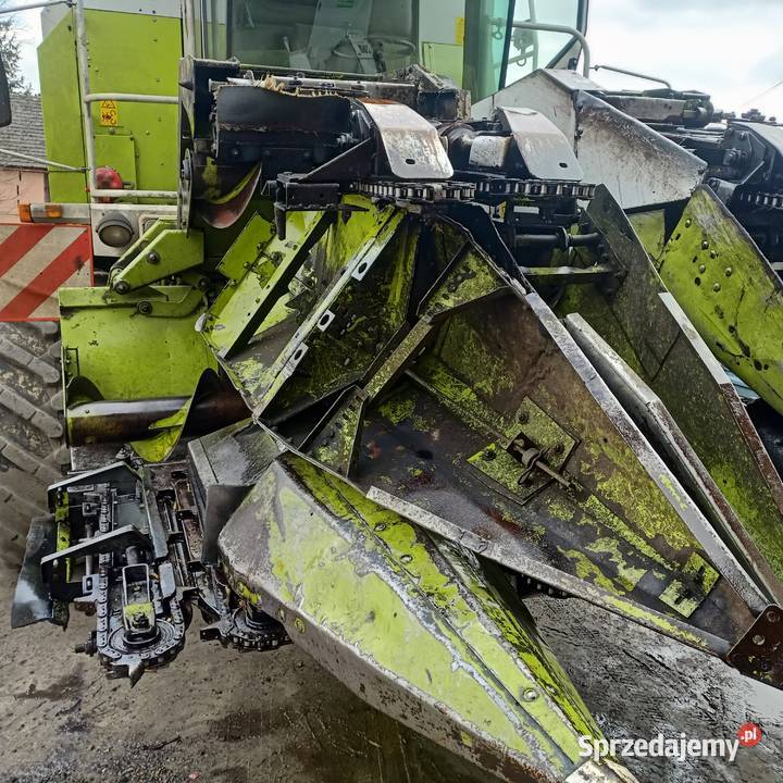 Przystawka Do Kukurydzy Claas MP Szesciorzedowa Do kombajnów Bielsko-Biała sprzedam