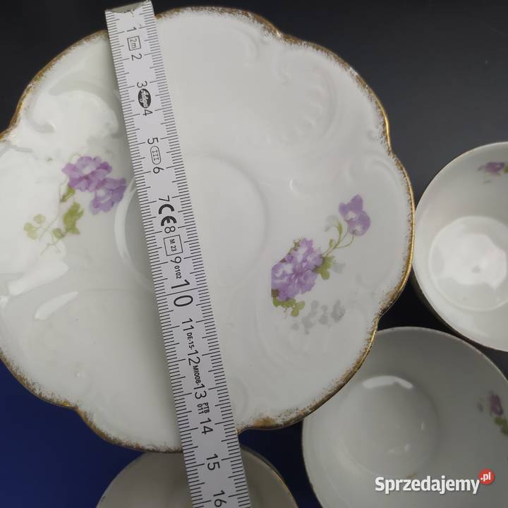 Serwis Limoges Myszyniec