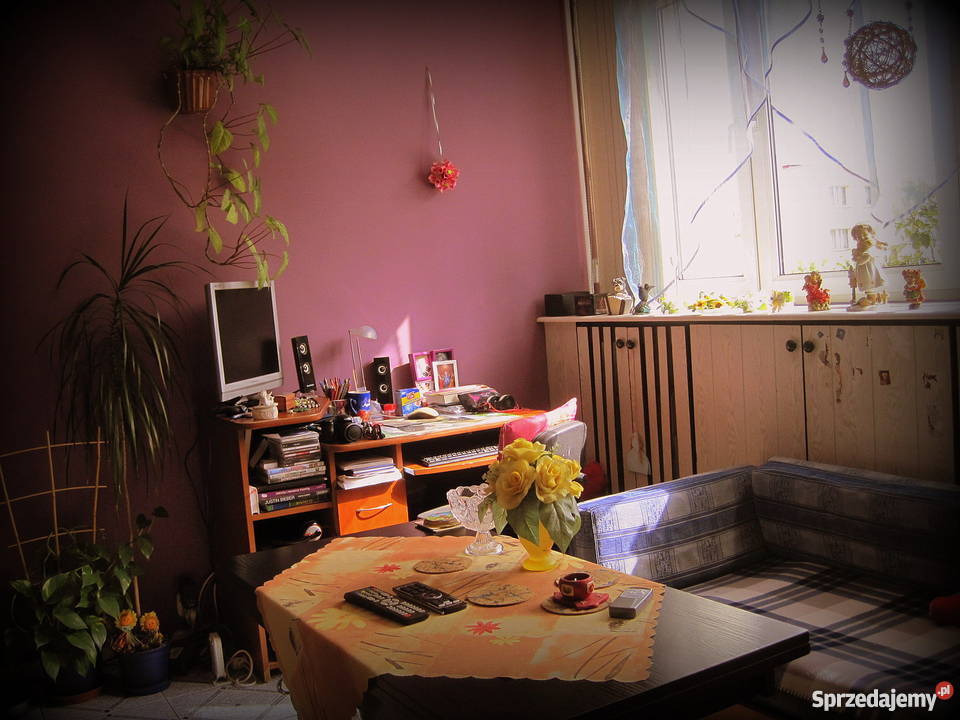 kawalerka w Nowogardzie Mieszkania Nowogard